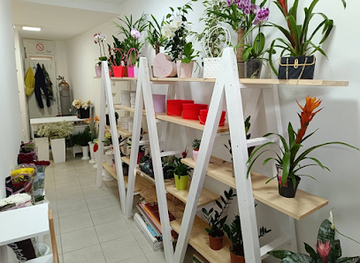 serbia/pirot/shop/cvecara-i-prodavnica-balona-decor-party-b-b-pirot