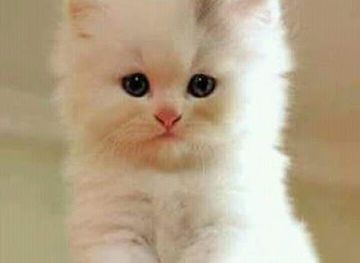 peru/lake-titicaca/shop/cosmeticos-y