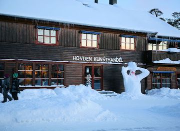 norway/hovden/shop/hovden-kunsthandel