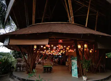 Bukit Lawang-Jungle Trekking