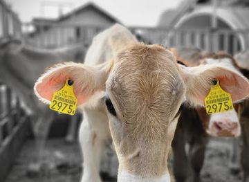 liechtenstein/balzers-region/shop/aeulehof-balzers