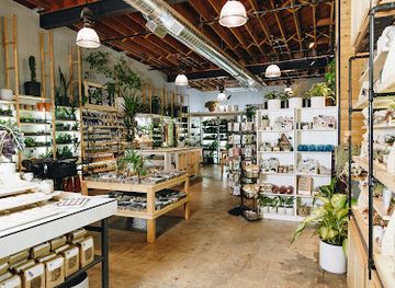 washington/renton/shop/urban-sprouts