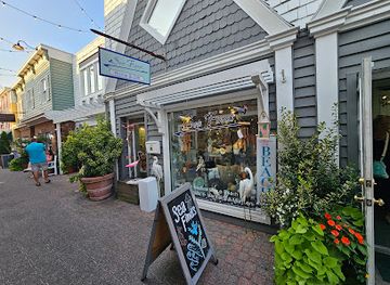 delaware/the-coastal-plain/shop/sea-finds