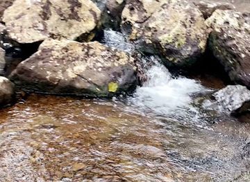 mauritius/le-morne/shop/le-petit-fermier