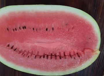 uzbekistan/kashkadarya-region/shop/magazin-produktov-mustfo-market