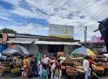 nicaragua/south-caribbean-coast-autonomous-region/shop/paca-loca-nica-leon