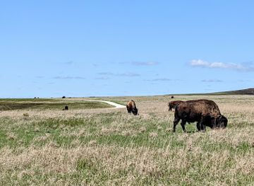 Tallgrass Prairie National Preserve