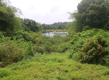 singapore/pulau-ubin/shop/butterfly-hill