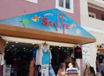 saint-kitts-and-nevis/saddle-hill/shop/sun-sand-souvenir-store