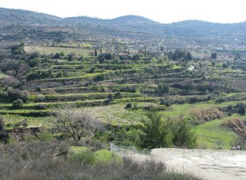 cyprus/kokkinochoria-red-soil-villages/shop/monagri-grape-farm