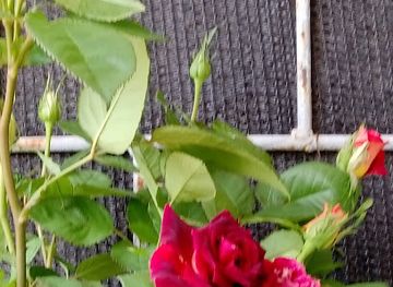 uruguay/aigua/shop/almacen-costa