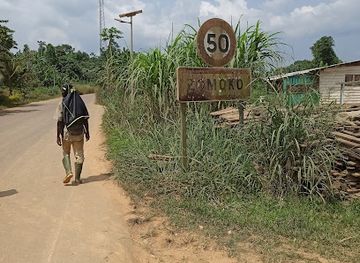 gabon/kongou-falls/shop/zomoko