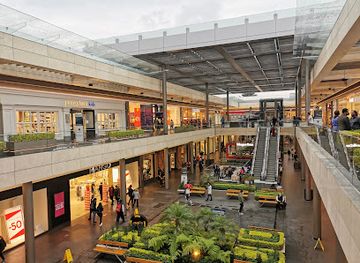 mexico/western-mexico/shop/oasis-coyoacan