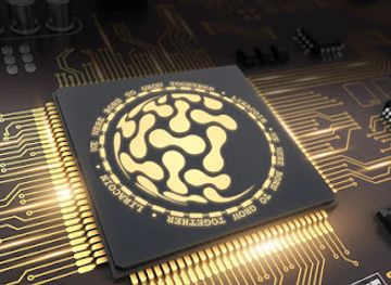 romania/brasov/tractorul/shop/lic-romania