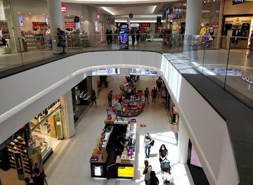 israel/red-sea-coral-reef/shop/grand-canyon-haifa