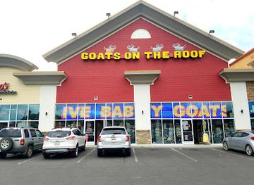 tennessee/cades-cove/shop/goats-on-the-roof