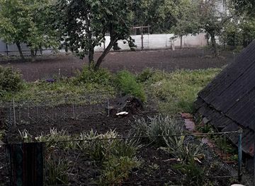 ukraine/podolian-upland/shop/viktoriia