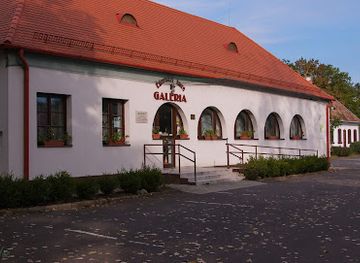 hungary/hortobagy/shop/egerhazi-imre-galeria