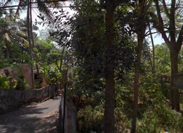 india/kovalam/shop/v-s-store