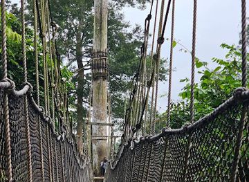 ghana/kakum-national-park/shop/kakum-national-park-entrance