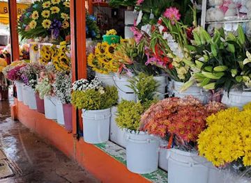 nicaragua/apoyo-lagoon/shop/venta-de-flores-y-rosas