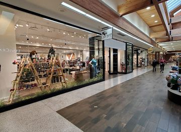 montana/missoula/shop/the-last-best-store