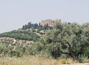 jordan/ajloun-forest-reserve/shop/ajloun-castle