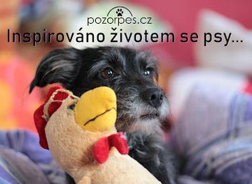 czechia/west-bohemia/shop/pozor-pes-cz