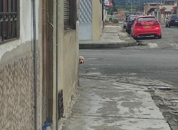 ecuador/carchi-region/shop/tulcan-ecuador