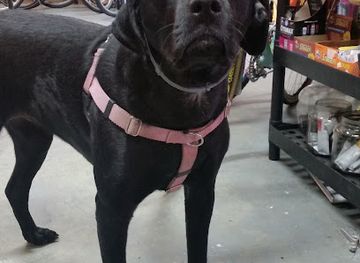 massachusetts/mount-greylock-state-reservation/shop/the-spoke