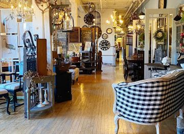 indiana/elkhart/shop/birds-gotta-fly