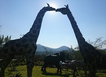 zimbabwe/bvumba-botanical-gardens/shop/vumba-gateway-gardens-and-curios