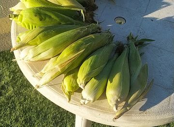 saudi-arabia/al-hada/shop/tea-stoll