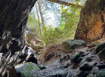 kentucky/red-river-gorge-geological-area/shop/red-river-gorge