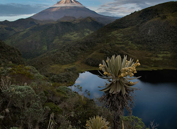 colombia/los-nevados-national-natural-park/shop/nevado-del-tolima