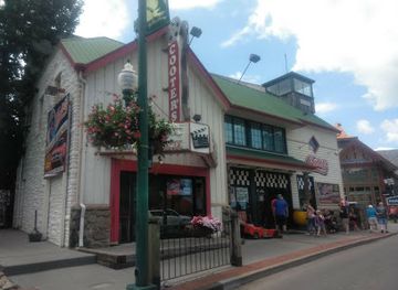 tennessee/pigeon-forge/shop/live-alligators-souvenir-store