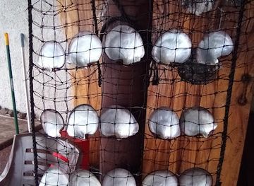 french-polynesia/huahine/shop/aquahine