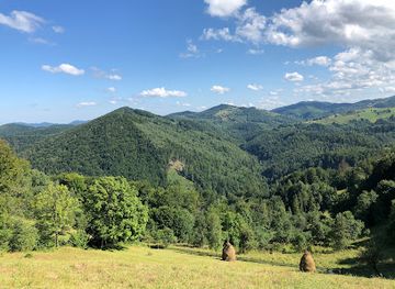 ukraine/synevyr-national-park/shop/vyzhnytsia-national-park