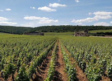 france/burgundy-vineyards/shop/la-grande-cave-de-vougeot