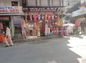 india/manali/vashisht/shop/wani-art-emporium