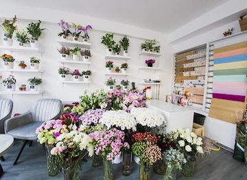 romania/alba/shop/blossom-boutique