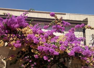 bosnia-and-herzegovina/herzegovina-neretva-canton/shop/t-r-vranica-vl-susic