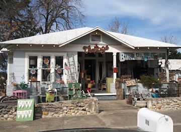 texas/new-braunfels/shop/birds-of-a-feather