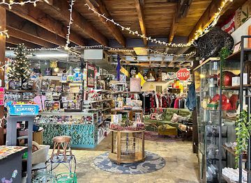 tennessee/chattanooga/shop/electric-crocodile