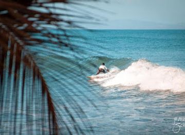 costa-rica/osa-peninsula/shop/collective-surf-tours