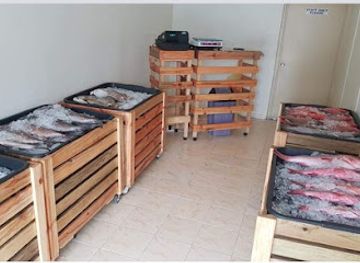 fiji/nausori/shop/hooked