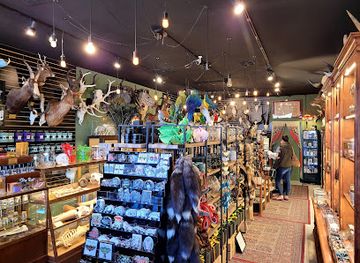 arizona/phoenix/shop/curious-nature