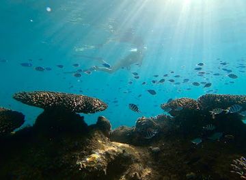 australia/ningaloo-reef/shop/liv-for-the-sea-freediving