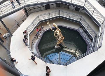 brazil/serra-da-capivara-national-park/shop/serra-da-capivara-national-park