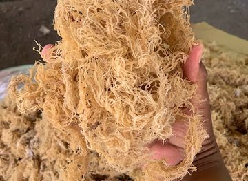 saint-lucia/micoud/shop/islandmoss-758